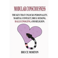 Modular Consciousness - Paperback