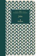 NLT Filament Bible Journal: John (Softcover) - Paperback