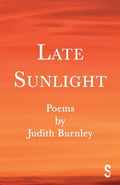 Late Sunlight - Paperback