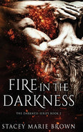 Fire In The Darkness - Hardcover