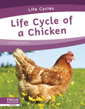 Life Cycle of a Chicken - Paperback