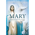 Mary: Fourth Person in the Trinity? - Paperback