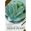 Agave Plant: Prodigy Petal, Plant Guide - Paperback