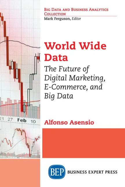 World Wide Data: The Future of Digital Marketing, E-Commerce, and Big Data - Paperback