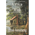 A Voice in the Wind (The Will and the Wisp Book 2) - Paperback