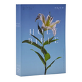 NRSV Catholic Edition Bible, Easter Lily Paperback (Global Cover Series): Holy Bible - Paperback