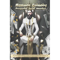 Mammon Grimoire: Prosperity Spells Unveiled - Paperback