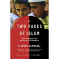 The Two Faces of Islam: Saudi Fundamentalism and Its Role in Terrorism - Paperback