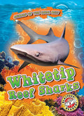 Whitetip Reef Sharks - Library Binding