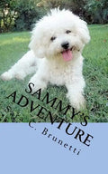 Sammy's Adventure - Paperback