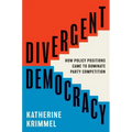 Divergent Democracy: How Policy Positions Came to Dominate Party Competition - Hardcover