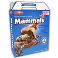 Online Discovery Mammals - Hardcover
