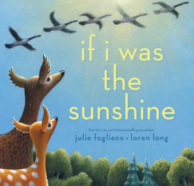 If I Was the Sunshine - Hardcover