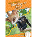 Monkey or Ape? - Library Binding