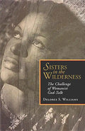 Sisters in the Wilderness: The Challenge of Womanist God - Paperback