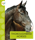 Thoroughbred Horses - Paperback