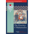 The Practice of Mahamudra: The Teachings of His Holiness, the Drikung Kyabgon, Chetsang Rinpoche - Paperback