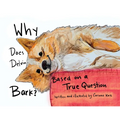 Why Does Delvin Bark?: Based on a True Question - Paperback