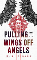 Pulling the Wings Off Angels - Paperback