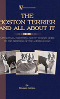 The Boston Terrier And All About It - A Practical, Scientific, And Up To Date Guide To The Breeding Of The American Dog (A Vintage Dog Books Breed Cla - Hardcover
