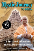 Mystic Journey to India: The Key to Spiritual Awakening and Fixing Fate - Paperback