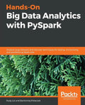 Hands-On Big Data Analytics with PySpark: Analyze large datasets and discover techniques for testing, immunizing, and parallelizing Spark jobs - Paperback
