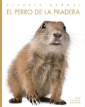 El Perro de la Pradera - Paperback