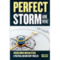 Perfect Storm - Paperback