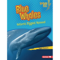 Blue Whales: Nature's Biggest Mammal - Library Binding