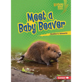Meet a Baby Beaver - Paperback