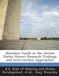 Homeless Youth in the United States: Recent Research Findings and Intervention Approaches - Paperback