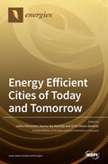 Energy Efficient Cities of Today and Tomorrow - Hardcover