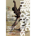 Breaking the Chains: African American Slave Resistance - Paperback