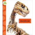 Museum - Hardcover
