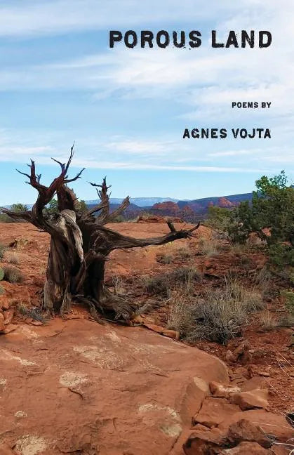 Porous Land - Paperback