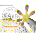 Made in Heaven: Man's Indiscriminate Stealing of God's Amazing Design - Hardcover
