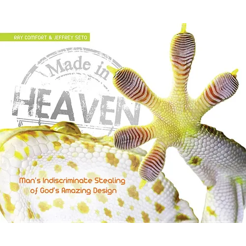 Made in Heaven: Man's Indiscriminate Stealing of God's Amazing Design - Hardcover
