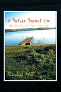 A Picture Perfect Life: (A Collection of Short Stories) - Paperback