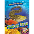 Moray Eels - Library Binding