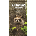 Arkansas Wildlife: A Folding Pocket Guide to Familiar Animals - Hardcover