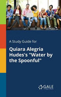 A Study Guide for Quiara Alegria Hudes's "Water by the Spoonful" - Paperback