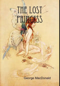 The Lost Princess - Hardcover