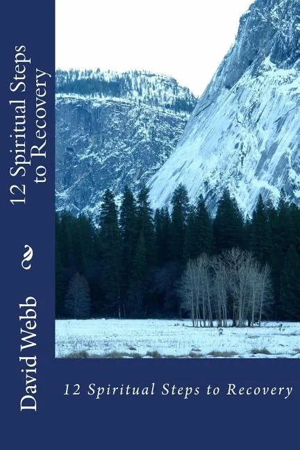 12 Spiritual Steps to Recovery - Paperback