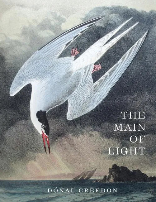 The Main Of Light: Common Ground and Dividing Lines in the Teachings of Jiddu Krishnamurti and Buddhism - Paperback