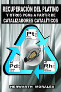 RECUPERACIÓN DEL PLATINO Y OTROS PGMs A PARTIR DE CATALIZADORES CATALÍTICOS - Paperback