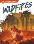 Wildfires - Library Binding