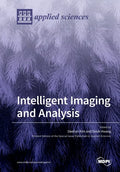 Intelligent Imaging and Analysis - Paperback