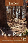 One Pastor, Twelve Steps: Preaching My Way Through the Valley of the Shadow of Addiction - Paperback