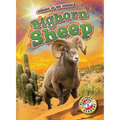 Bighorn Sheep - Library Binding