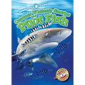 Oceanic Whitetip Sharks and Pilot Fish - Library Binding